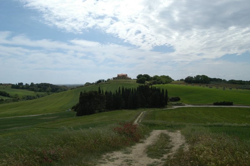 BIBBONA CAMPAGNA